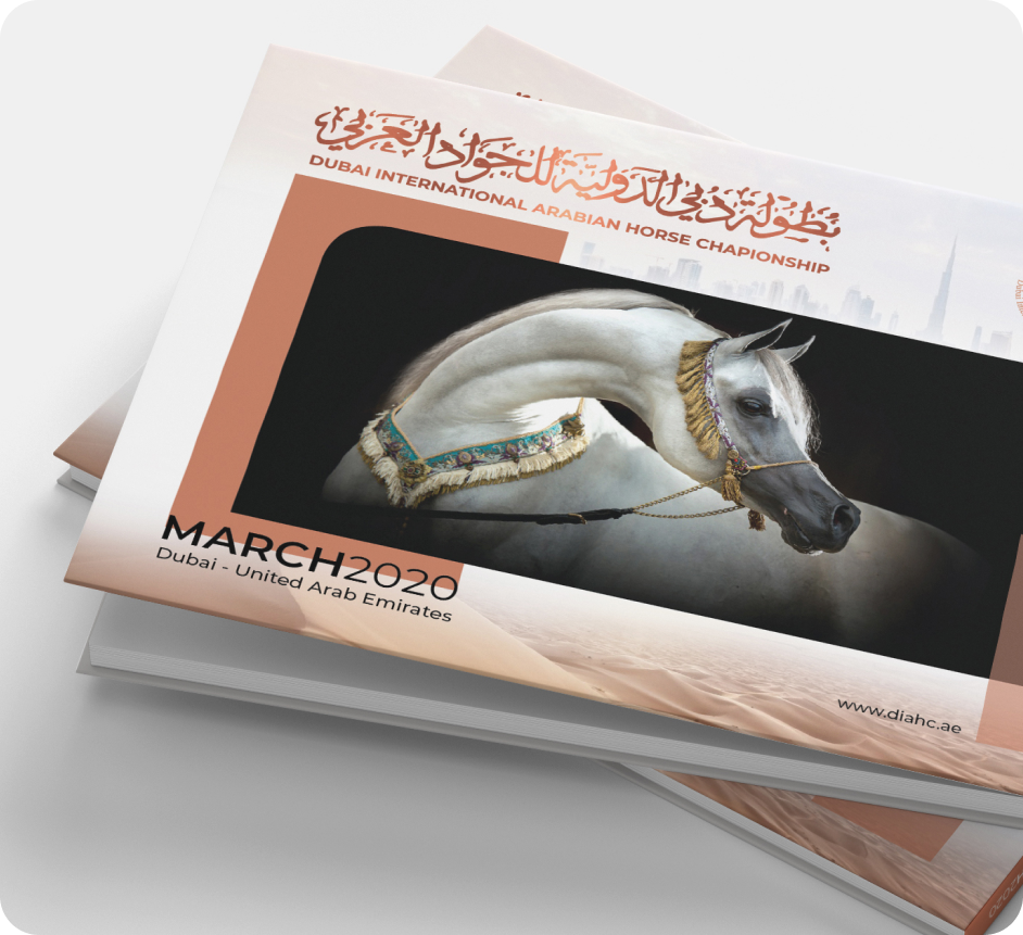 Dubai Horse Champion