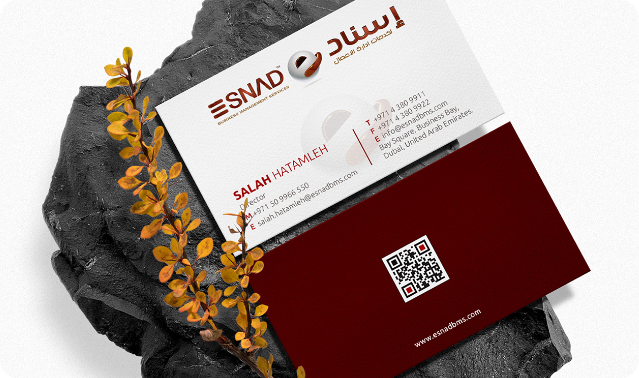 snad-img-3